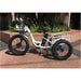 Emojo Caddy Pro High-performance Electric Tricycle