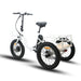 Eunorau New-Trike Fat Tire Folding Electric Tricycle